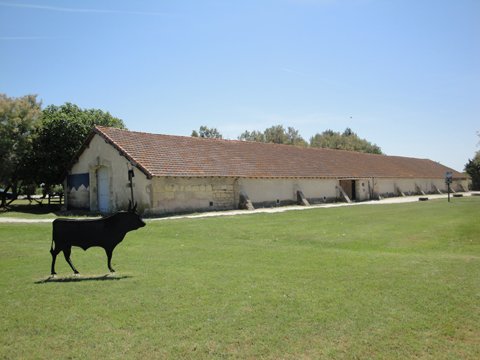 Le Mus�e de la Camargue