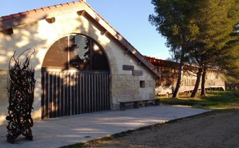 Muse de la camargue