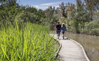 Marais du Vigueirat