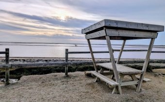 Point de vue du sel