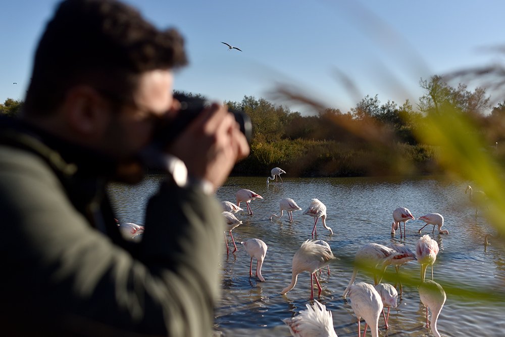 destination camargue