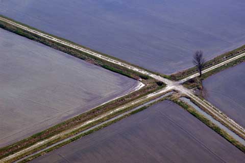 Chemin entre des rizières en eau