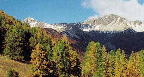 Le Parc naturel rgional du Queyras