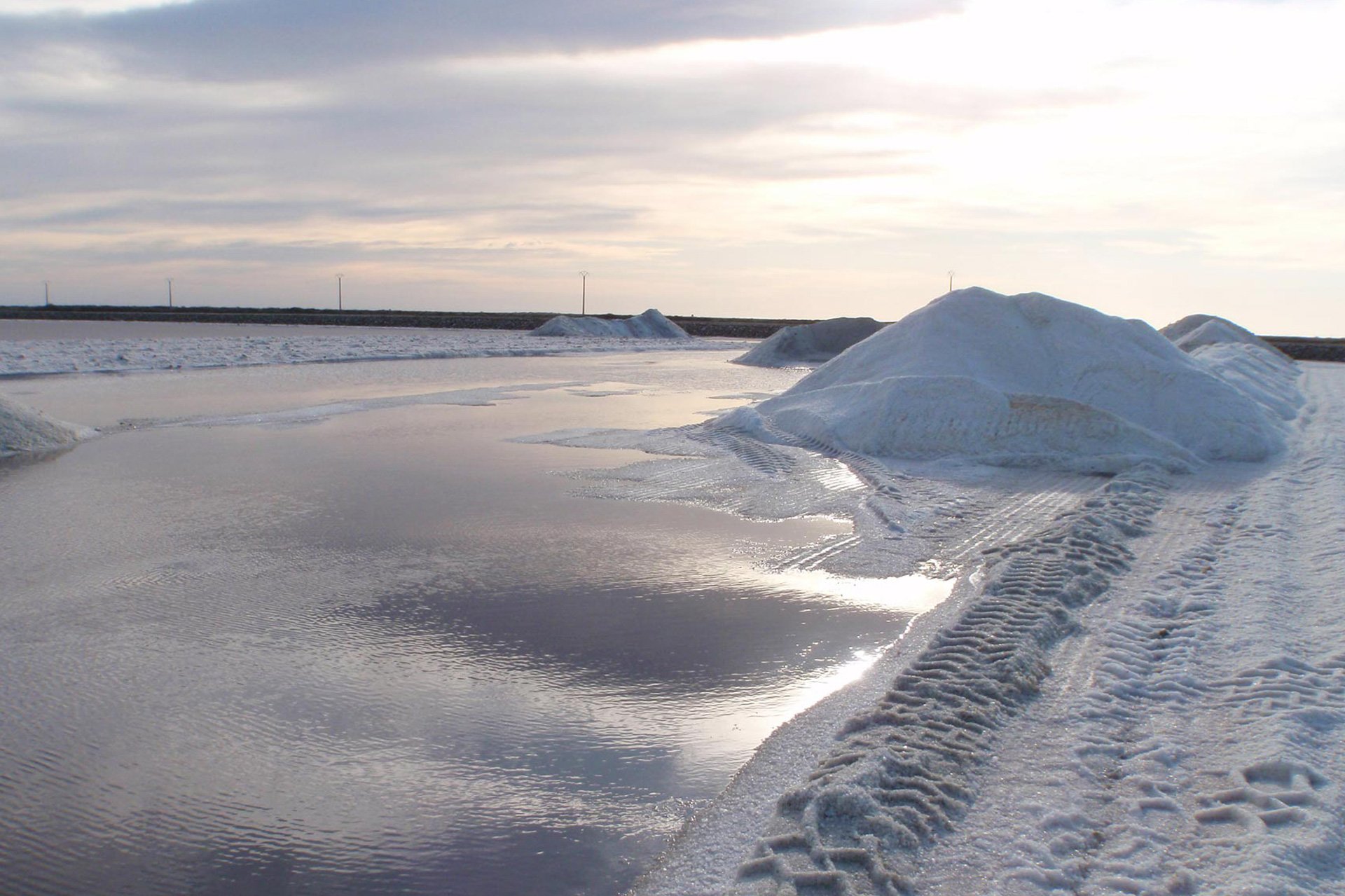 salins du midi