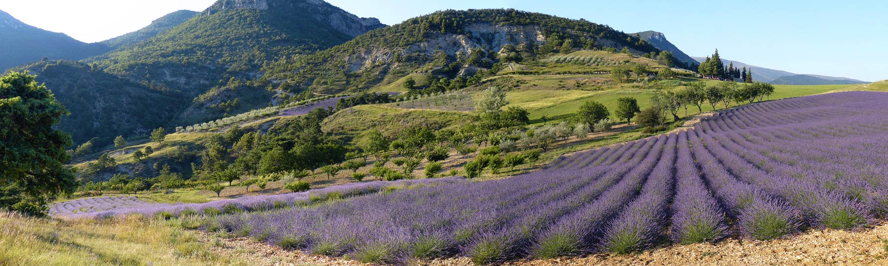 Le Parc naturel rgional des Baronnies provenales